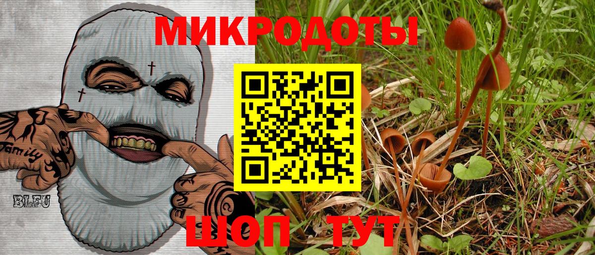 Псилоцибиновые грибы Psilocybe  Вход с VPN  Ростов Великий 