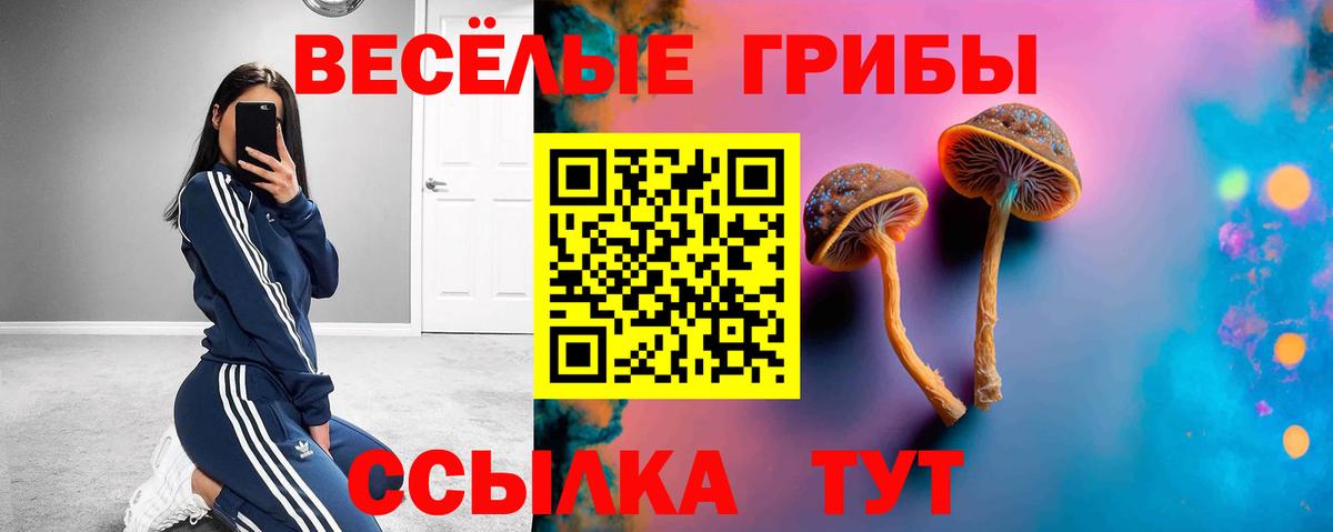 Псилоцибиновые грибы MAGIC MUSHROOMS Ростов Великий