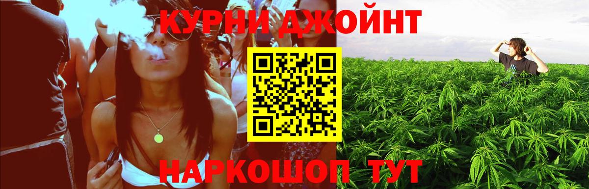 Канабис планчик Ростов Великий